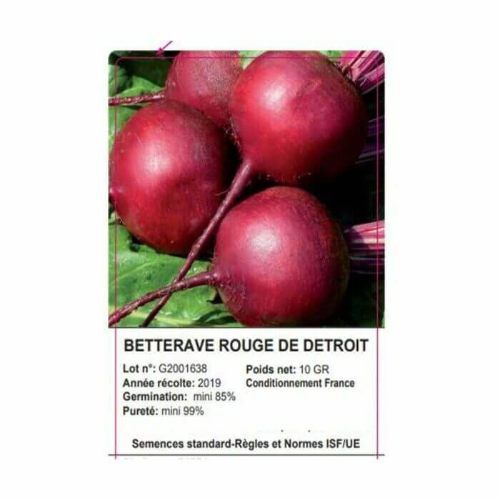 SACHET BETTERAVE ROUGE 10 GRAMMES - GRAINE - Mr Bricolage : Outillage, Jardinage, Animalerie, Electricité