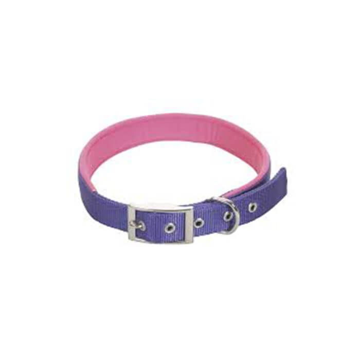 COLLIER POUR CHIEN SANGLE EN NYLON VIOLET 25MM 55CM - COLLIER - Mr Bricolage : Outillage, Jardinage, Animalerie, Electricité