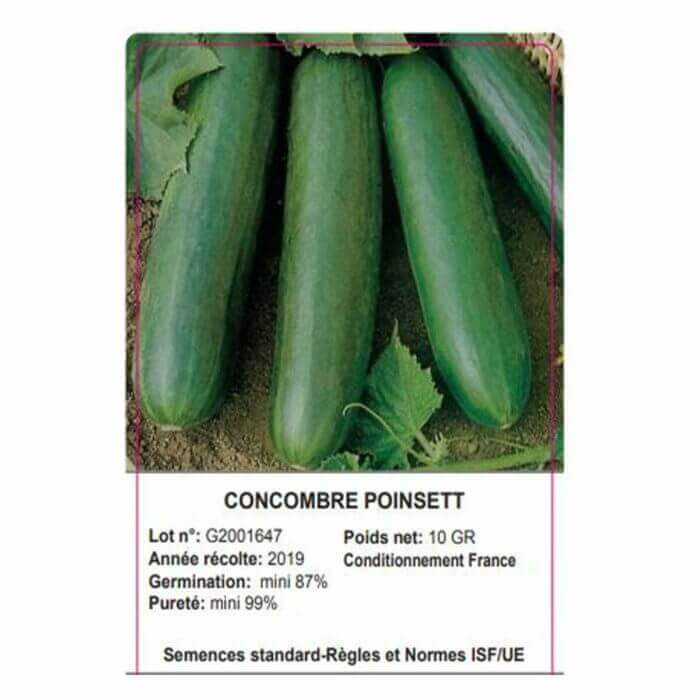 SACHET CONCOMBRE POINSETT 10 GRAMMES - GRAINE - Mr Bricolage : Outillage, Jardinage, Animalerie, Electricité