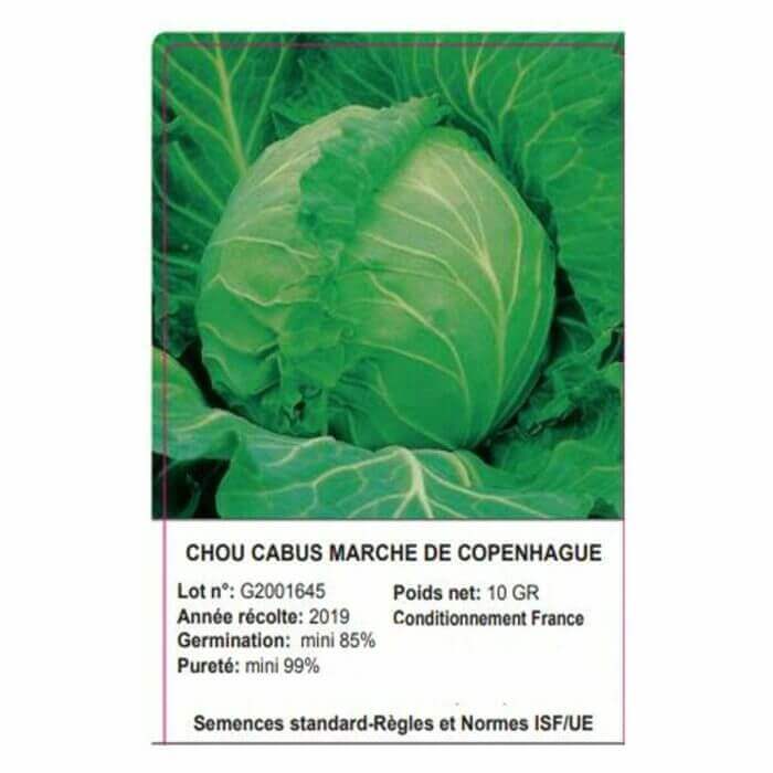 SACHET CHOU CABUS 10 GRAMMES - GRAINE - Mr Bricolage : Outillage, Jardinage, Animalerie, Electricité