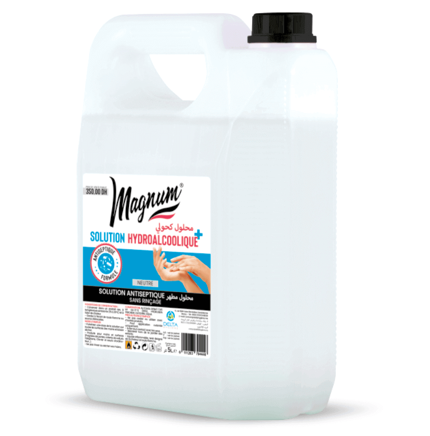 SOLUTION HYDROALCOOLIQUE MAGNUM 5 LITRES - Uncategorized - Mr Bricolage : Outillage, Jardinage, Animalerie, Electricité