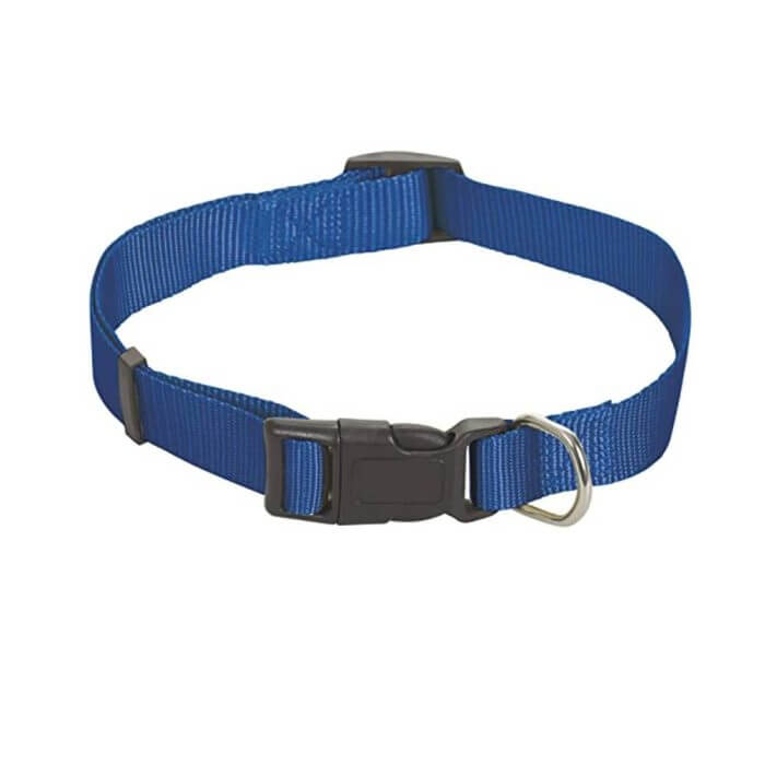 LAISSE POUR CHIEN SANGLE EN NYLON BLEU 20MM 1,20M - LAISSE - Mr Bricolage : Outillage, Jardinage, Animalerie, Electricité